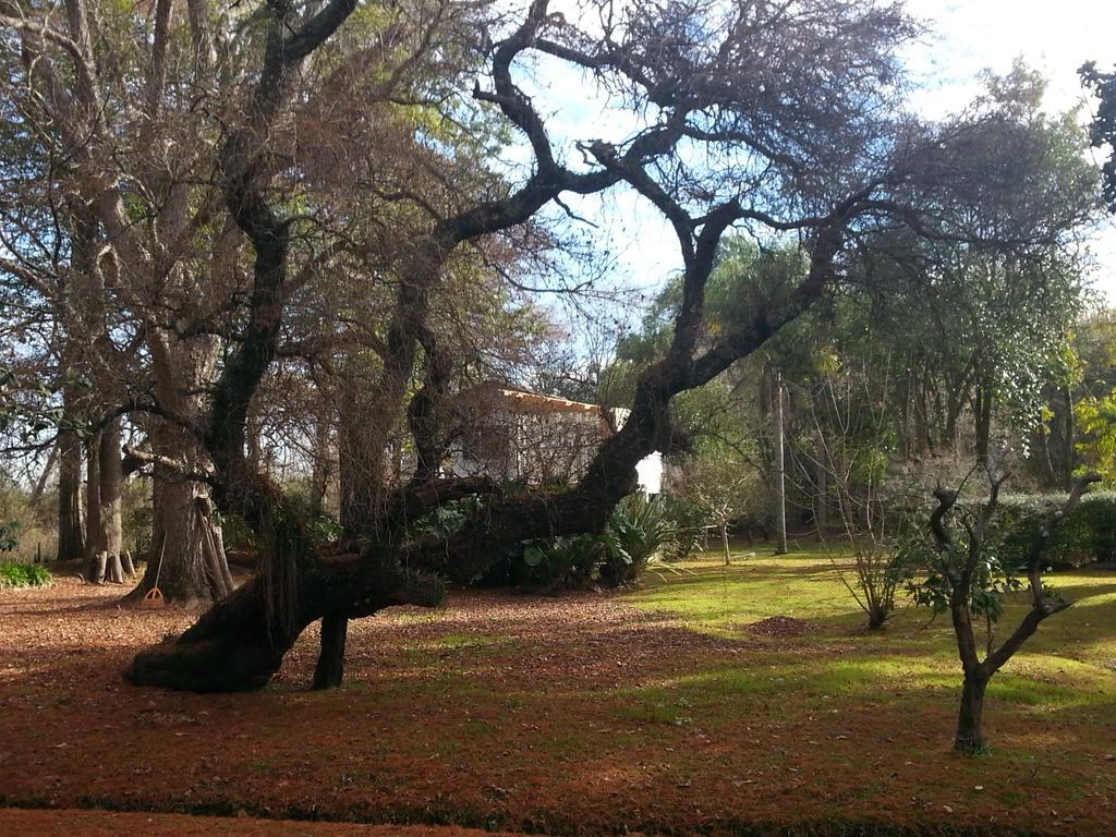 Villa Ocampo Tigre Esterno foto