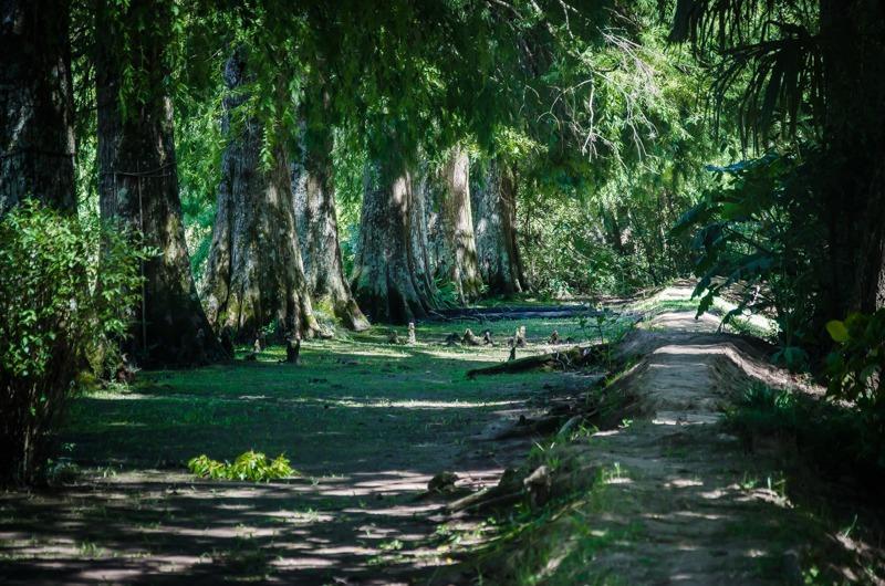 Villa Ocampo Tigre Esterno foto