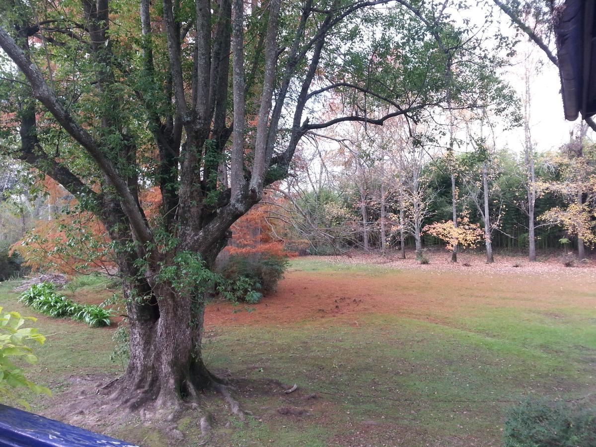 Villa Ocampo Tigre Esterno foto