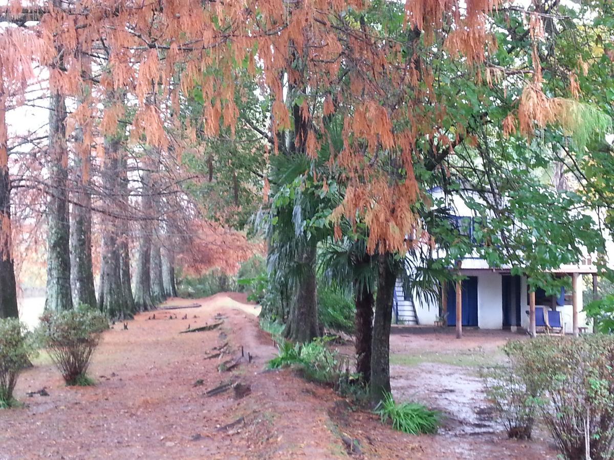 Villa Ocampo Tigre Esterno foto