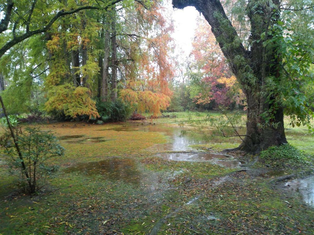 Villa Ocampo Tigre Esterno foto